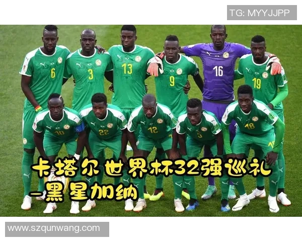 加纳足球明星盘点：历史与现役球员的辉煌成就与影响力