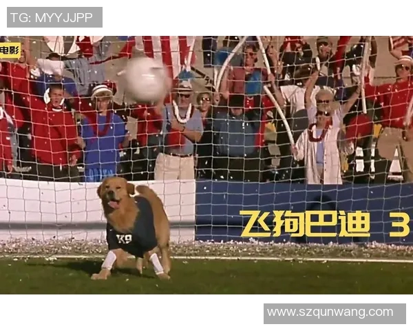 韩国足球界的狗狗明星是谁让我们一起了解这位可爱的运动员